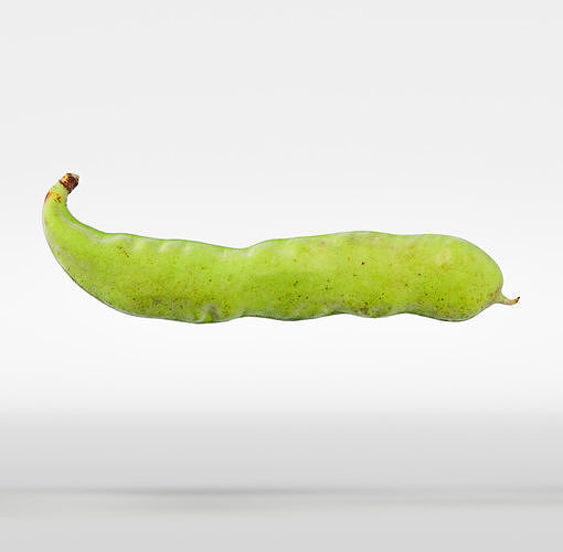 Bean pod 3D model 6