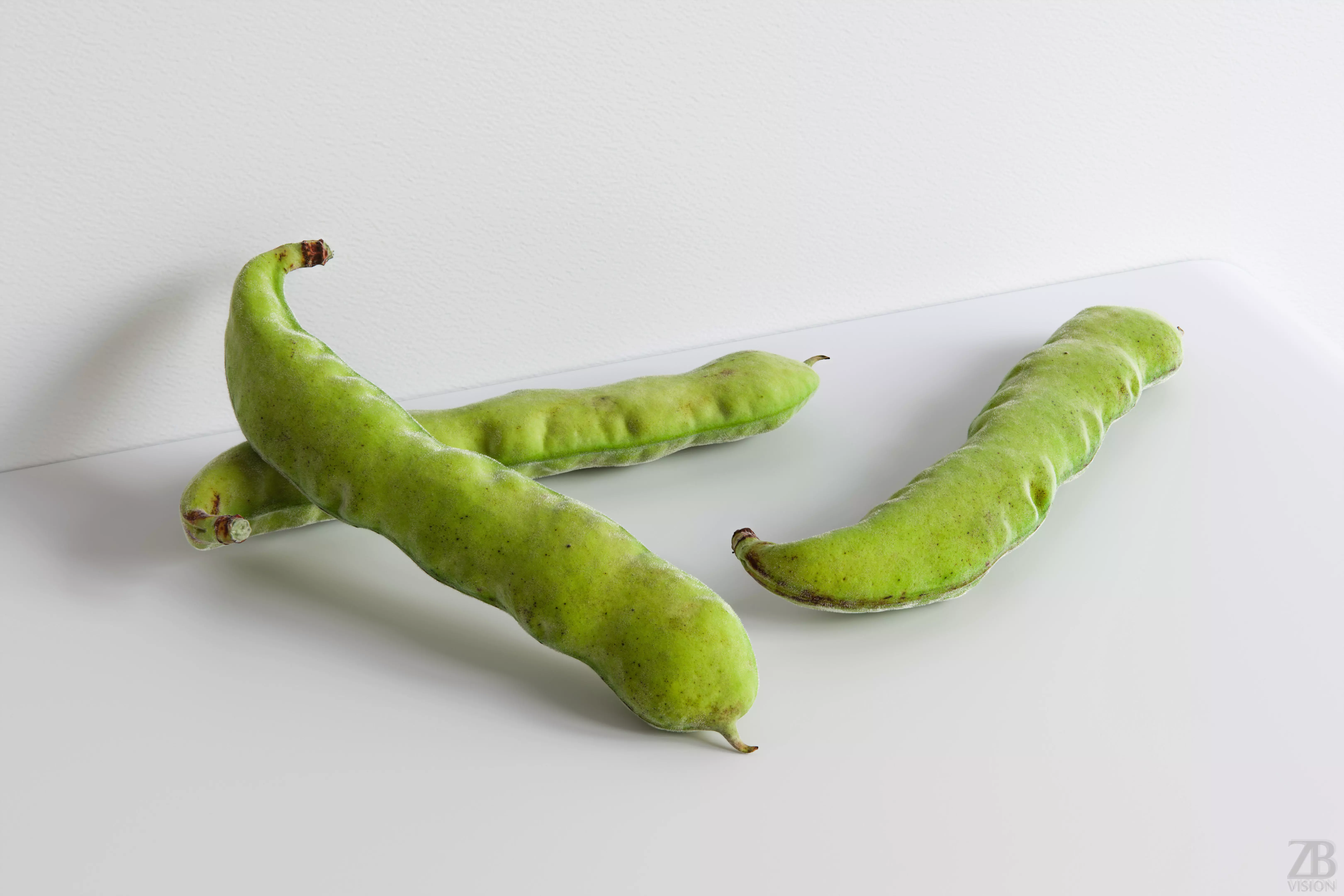 Bean pod 3D model_0