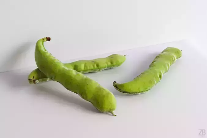 Bean pod 3D model Bean pod 3D model