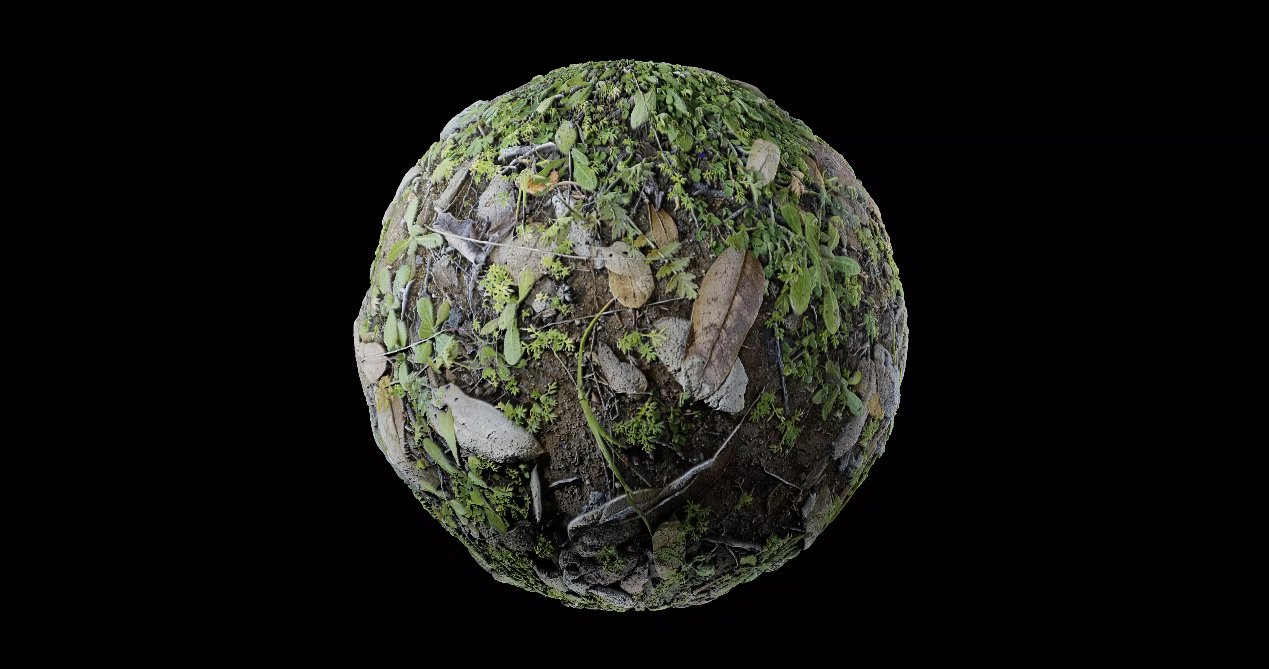 Low Vegetation 8 Texture_0