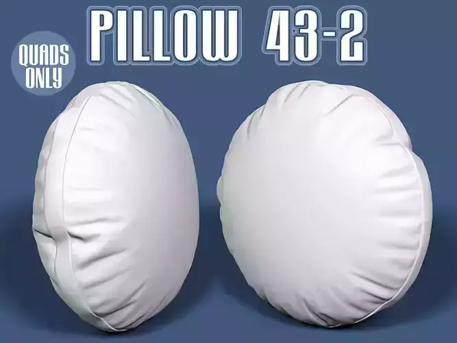 Pillow 43-2