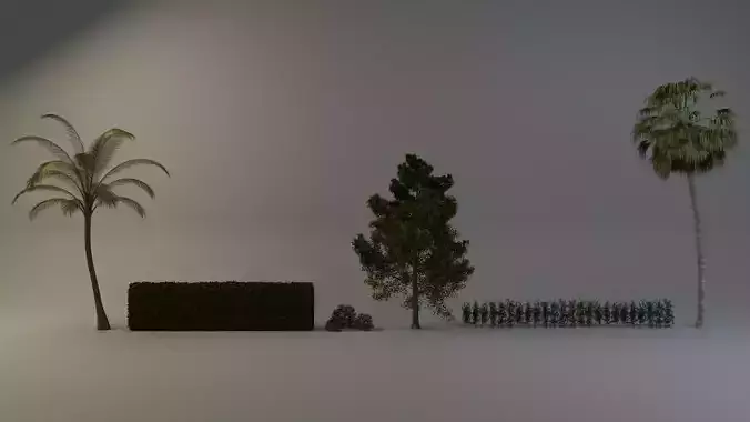 Tree Collection palm trees and hedges