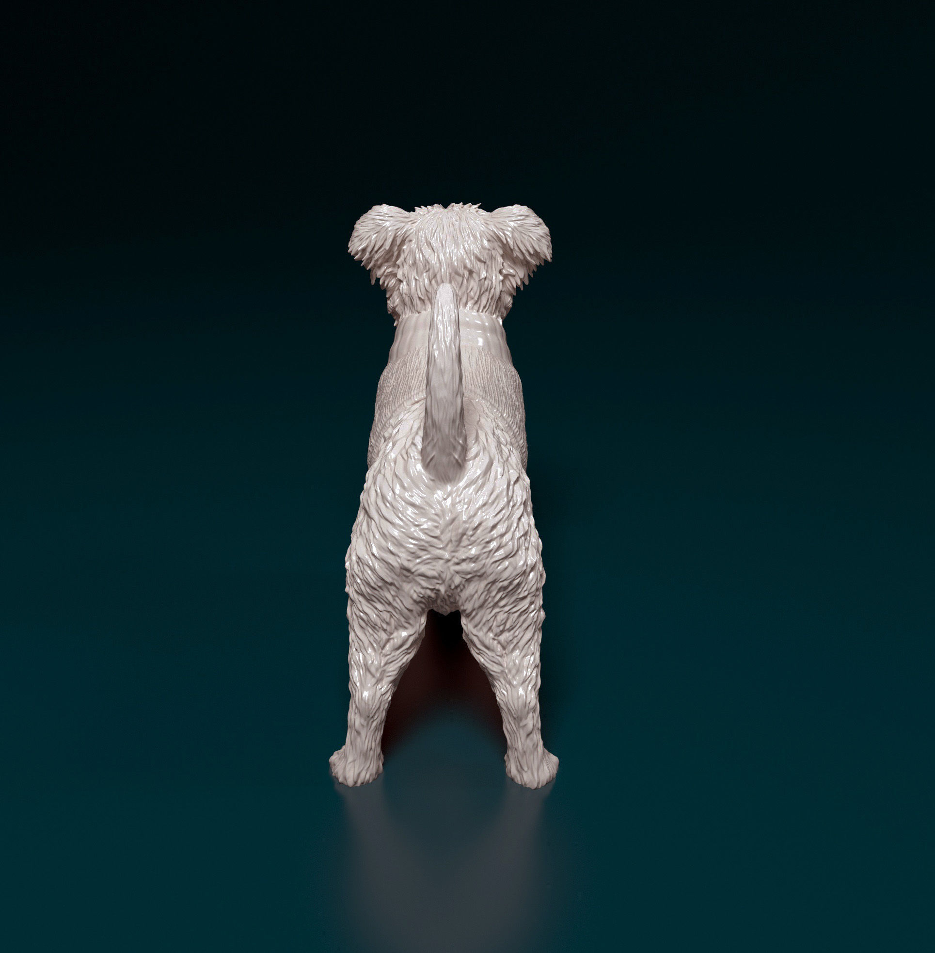 West highland white terrier in jacket 3D print model_3