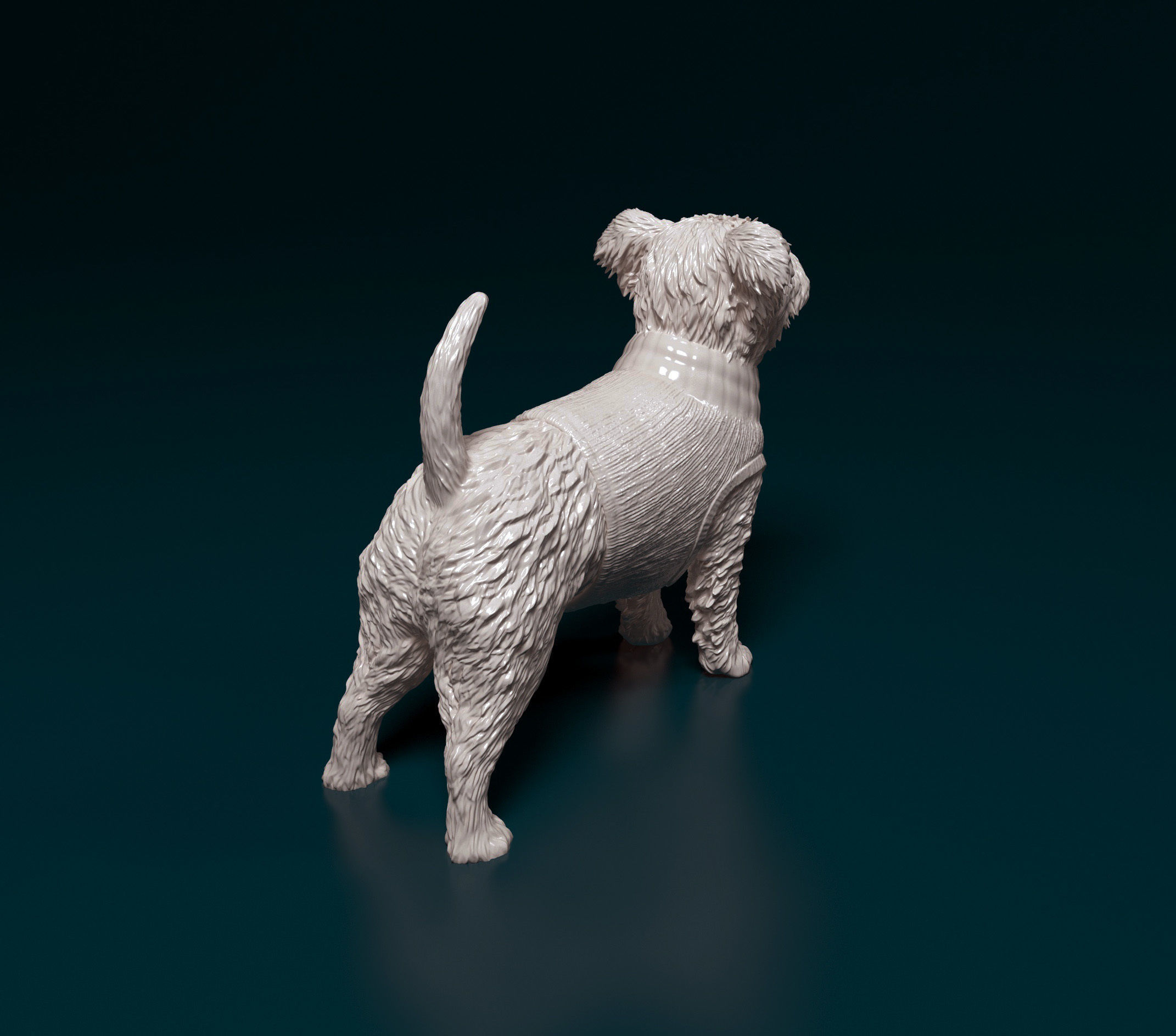 West highland white terrier in jacket 3D print model_2
