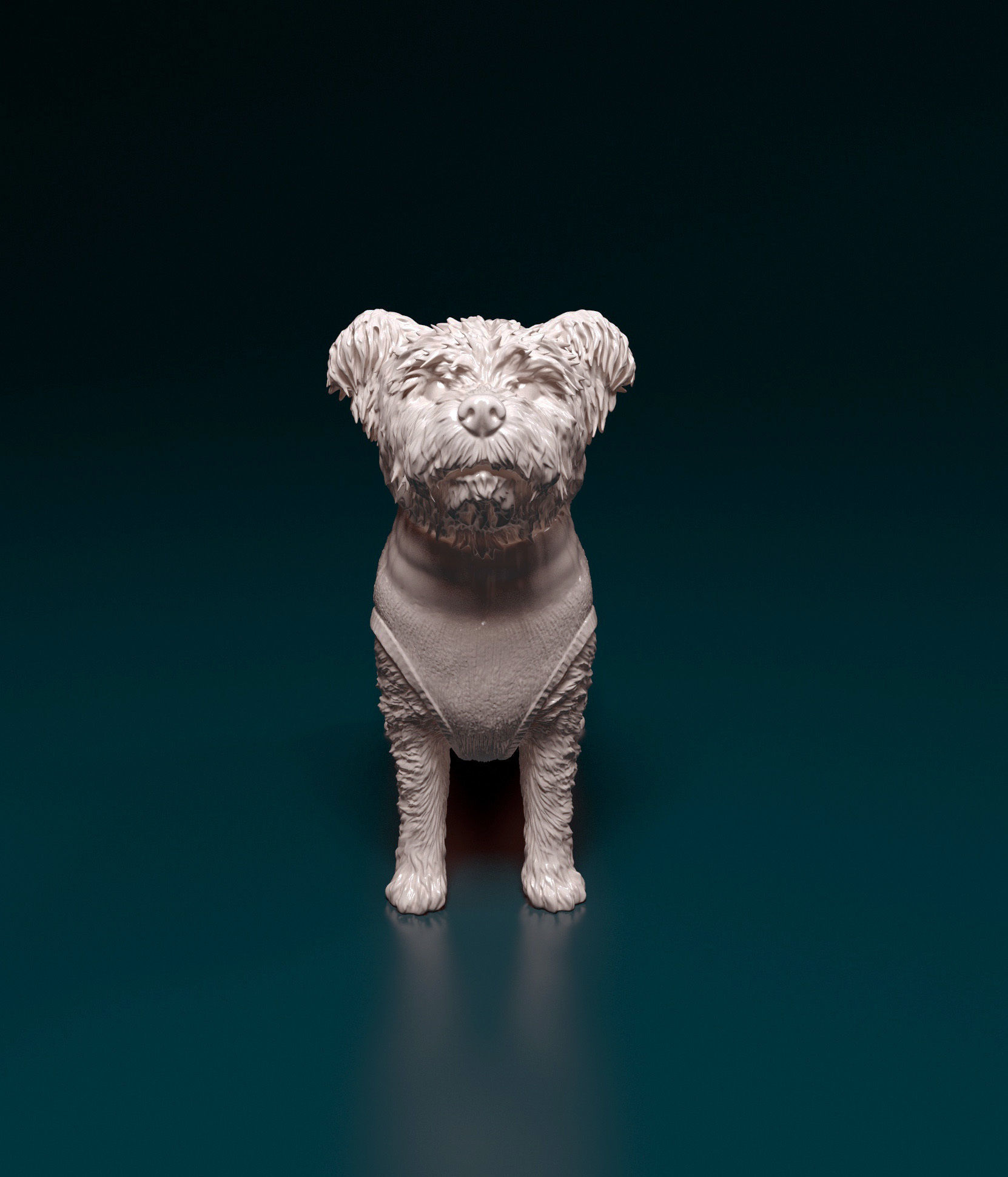 West highland white terrier in jacket 3D print model_7