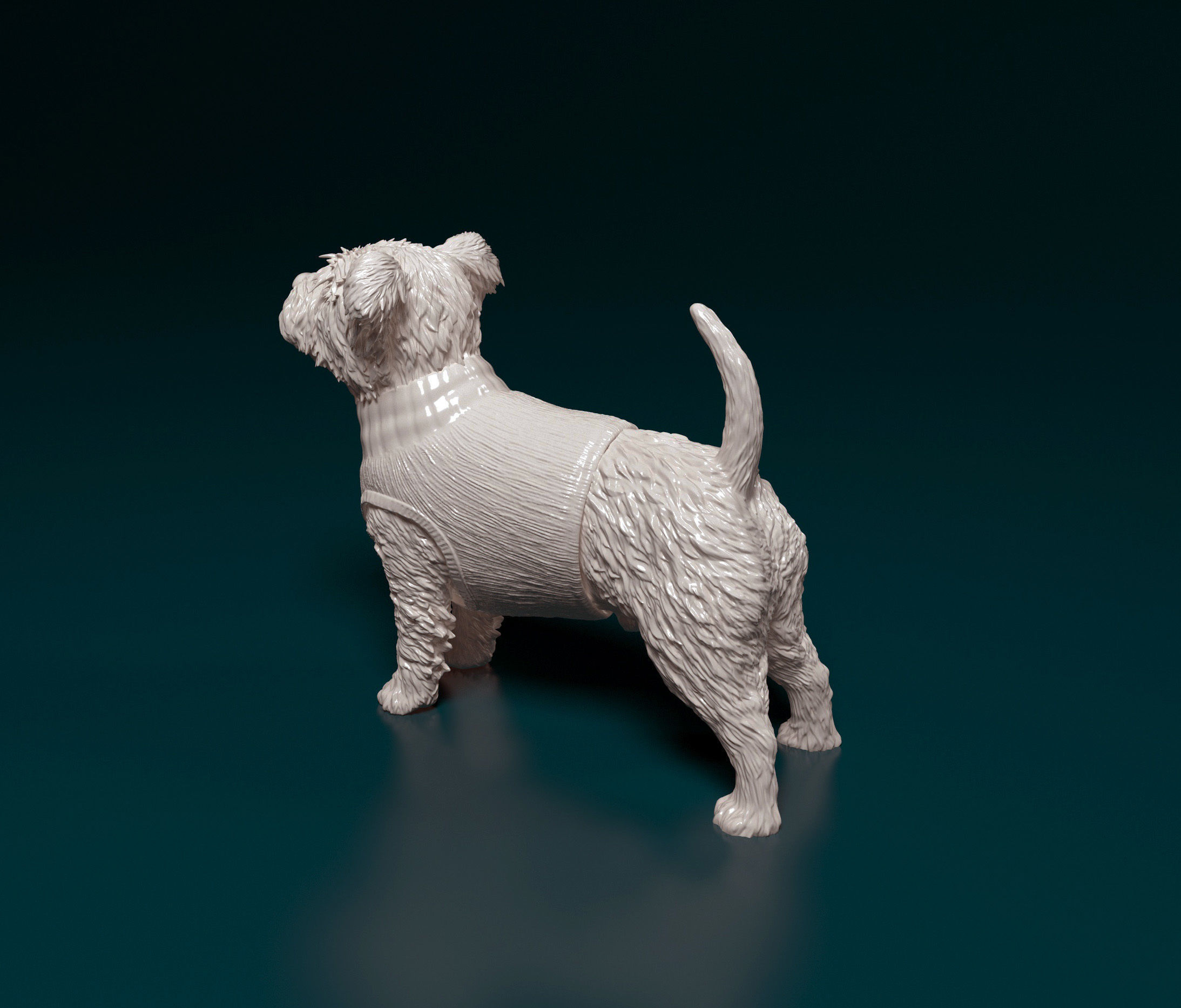 West highland white terrier in jacket 3D print model_4