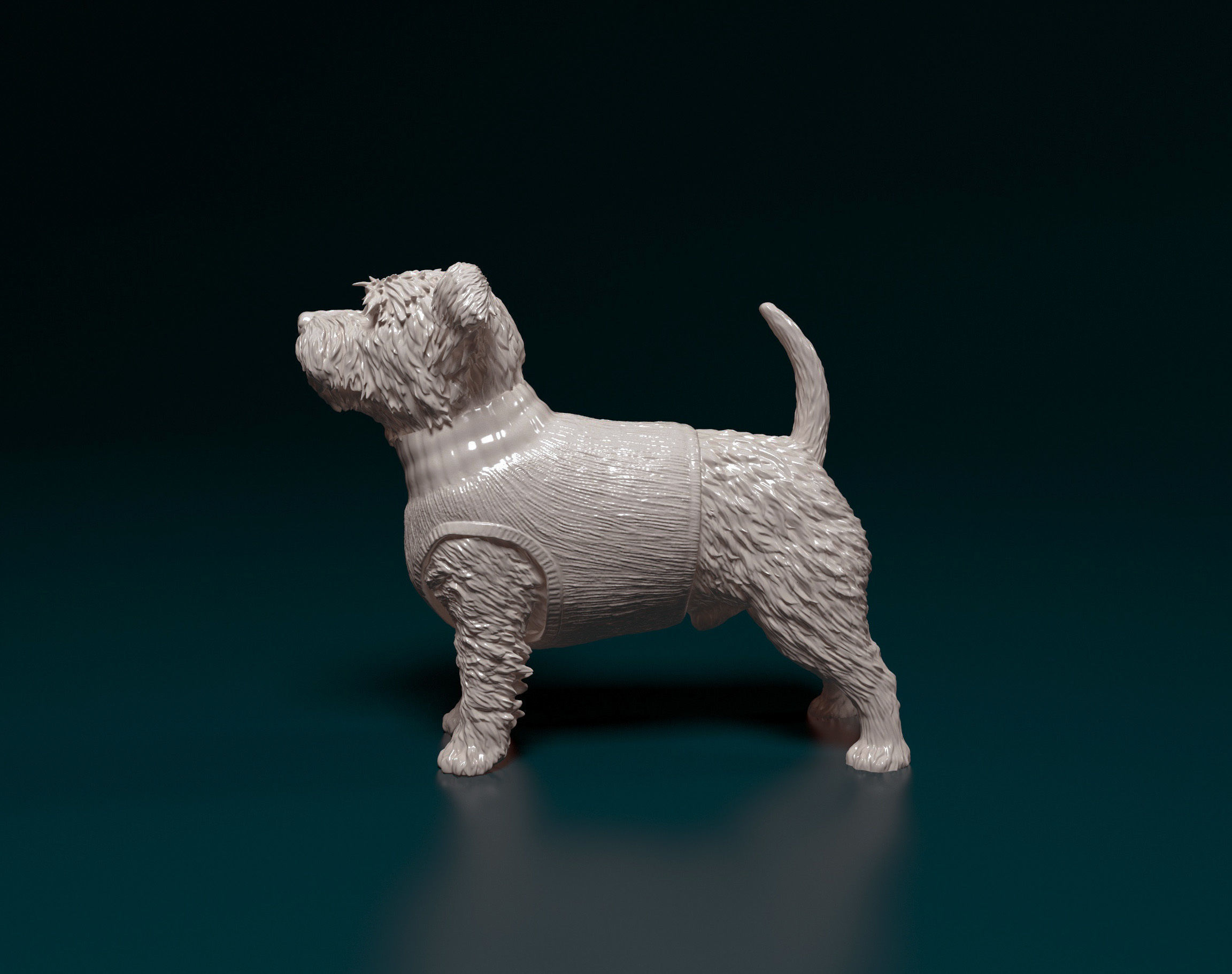 West highland white terrier in jacket 3D print model_5