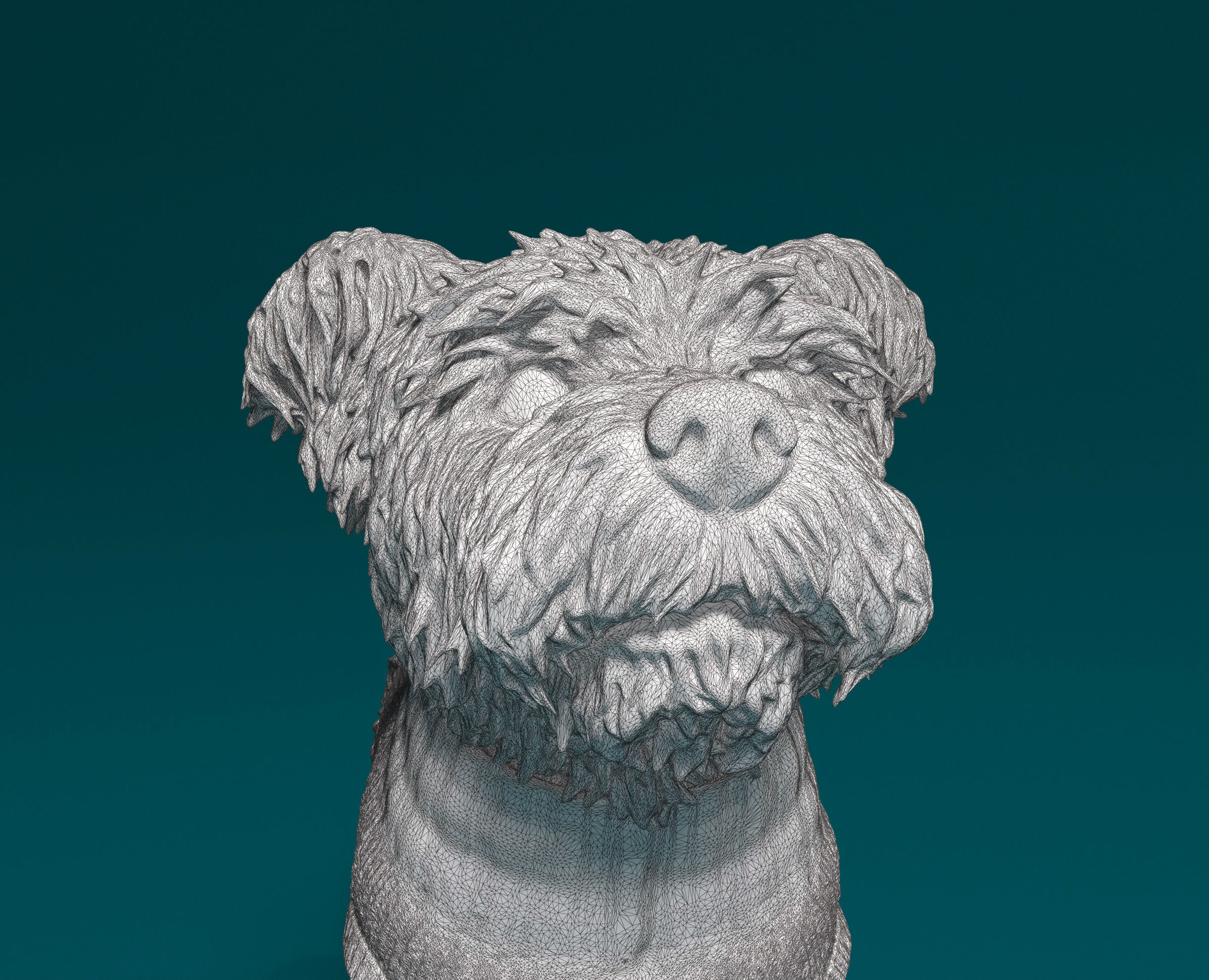 West highland white terrier in jacket 3D print model_8