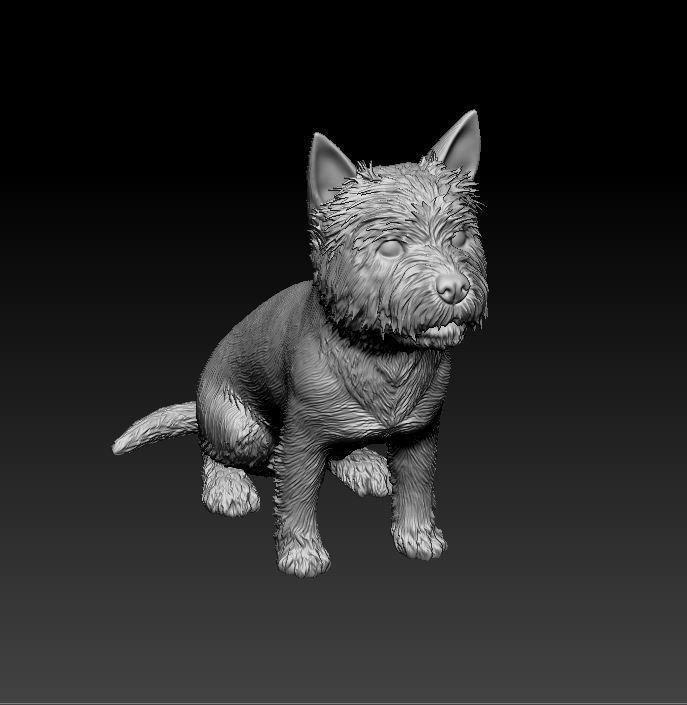 West highland white terrier sitting 3D print model_1