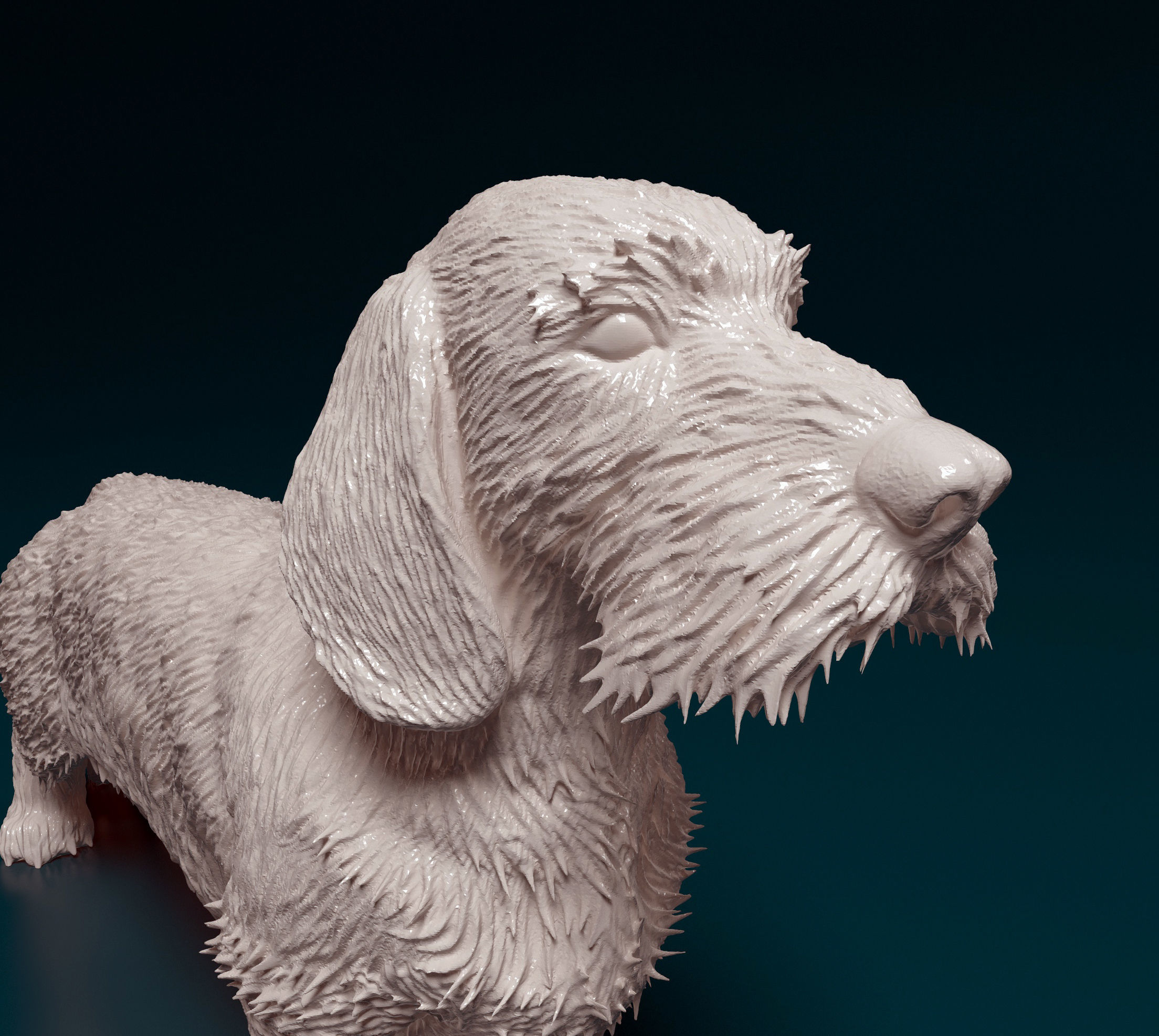 Dachshund Wire-haired  3D print model_7