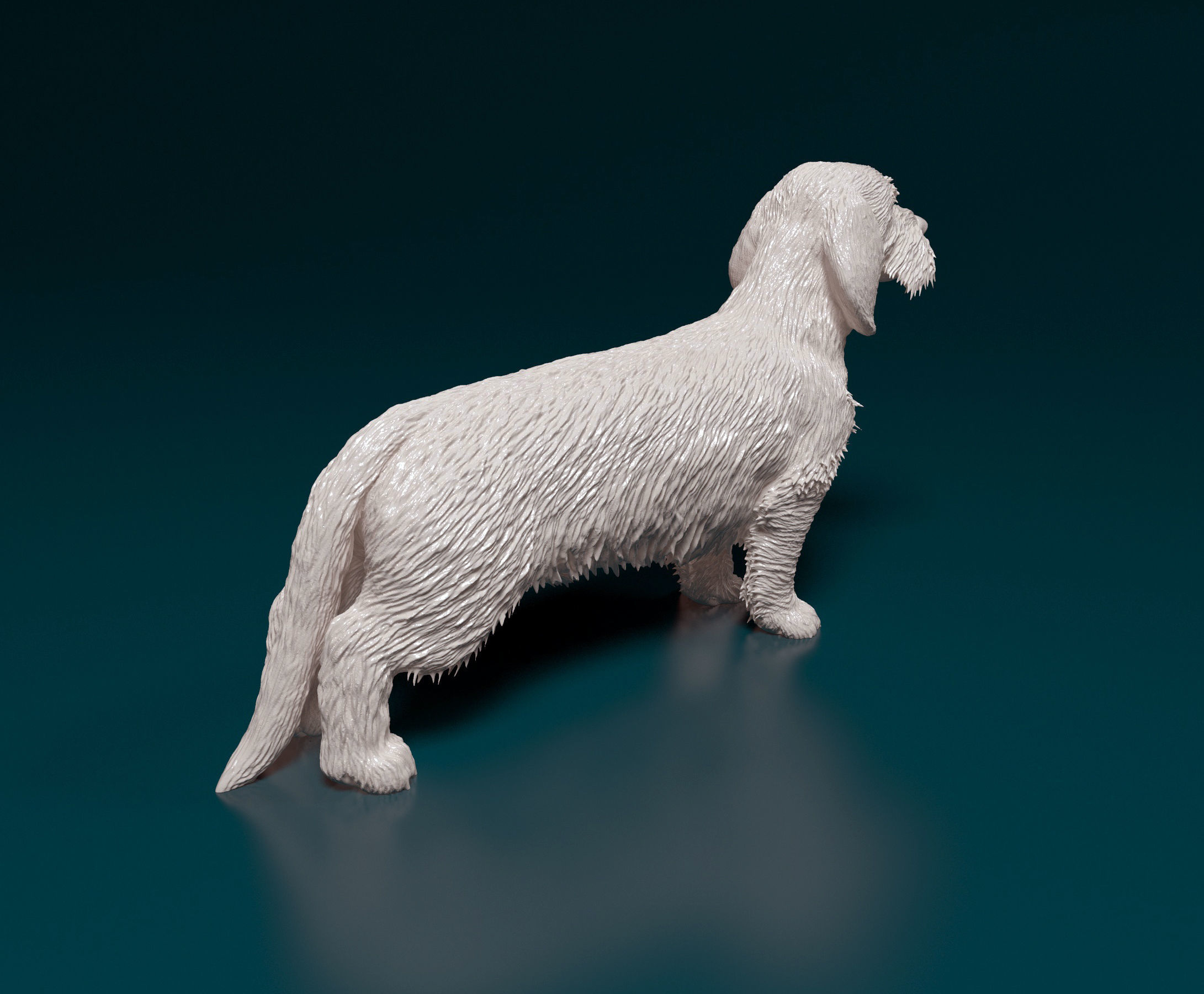 Dachshund Wire-haired  3D print model_2