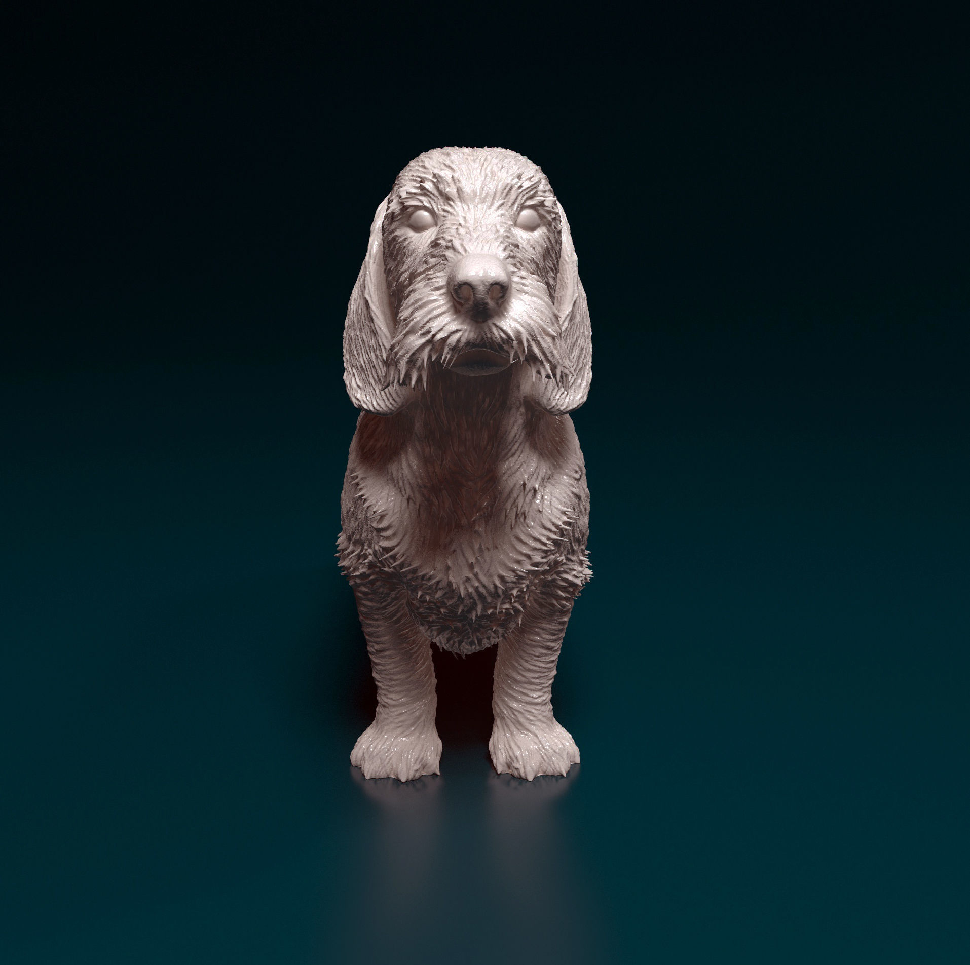 Dachshund Wire-haired  3D print model_6