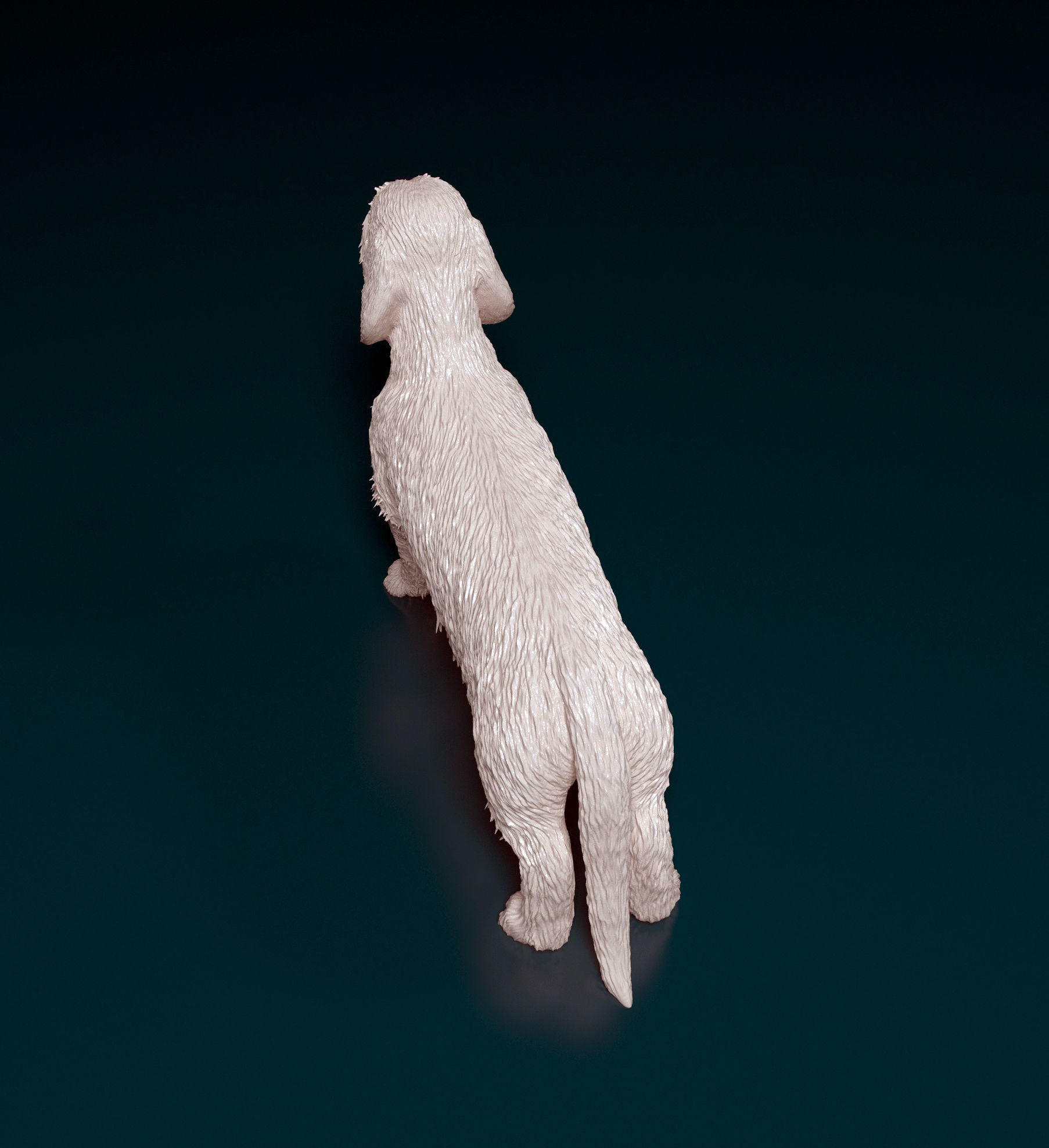 Dachshund Wire-haired  3D print model_3