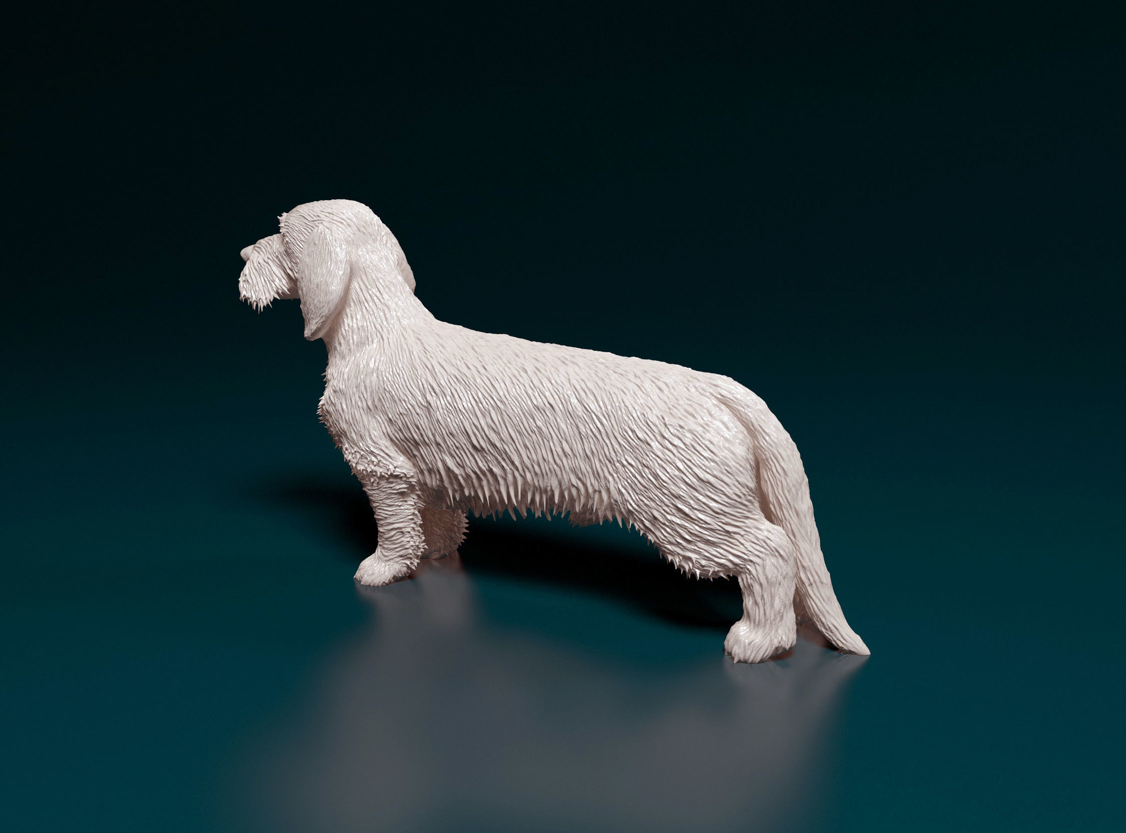 Dachshund Wire-haired  3D print model_4