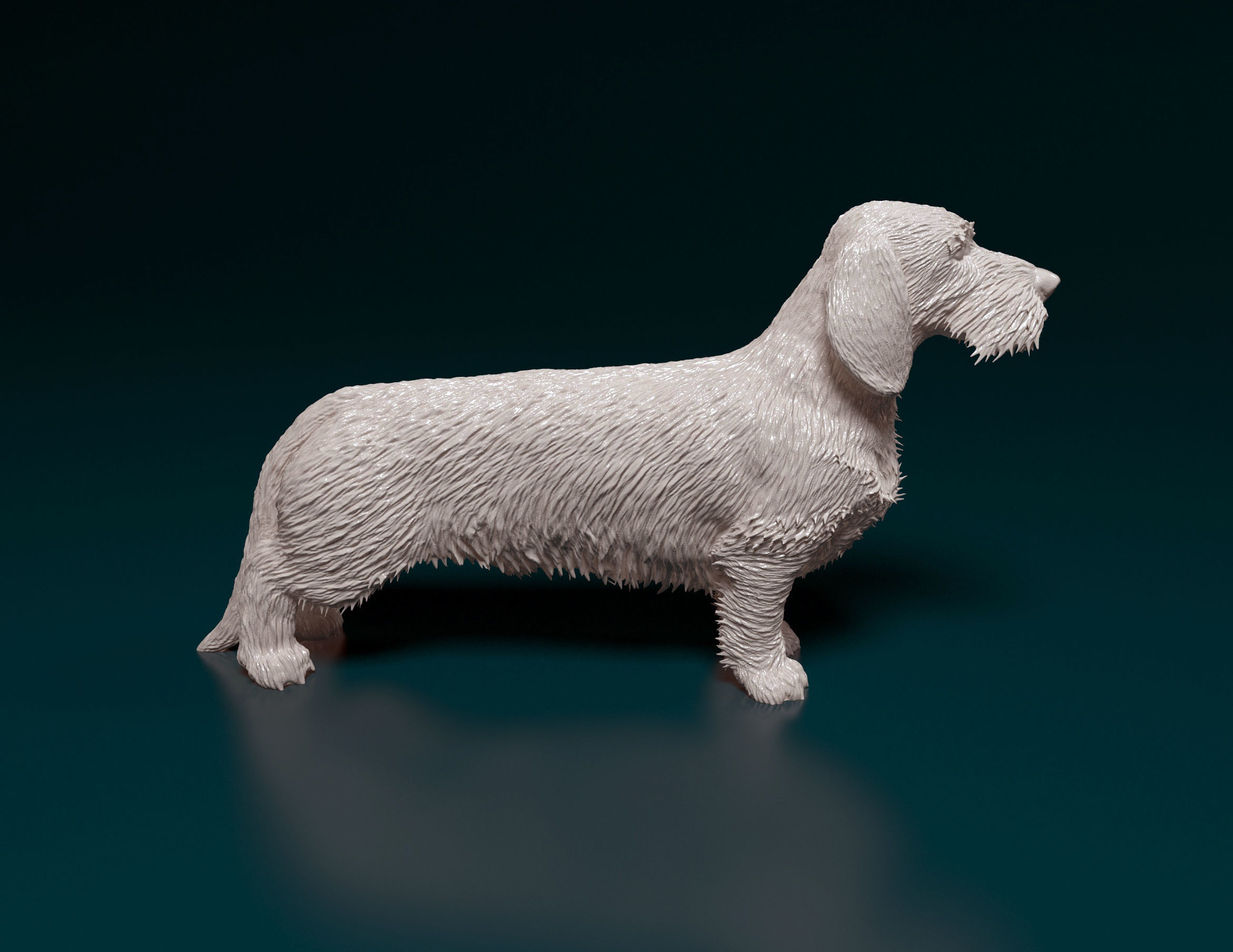 Dachshund Wire-haired  3D print model_1