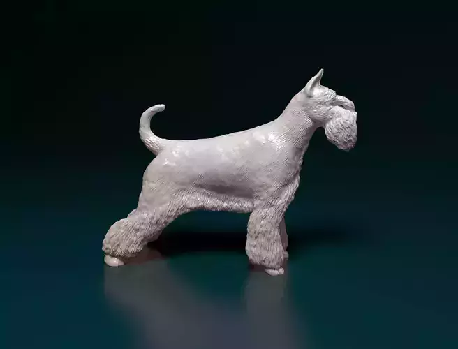Zwergschnauzer dog 3D print model