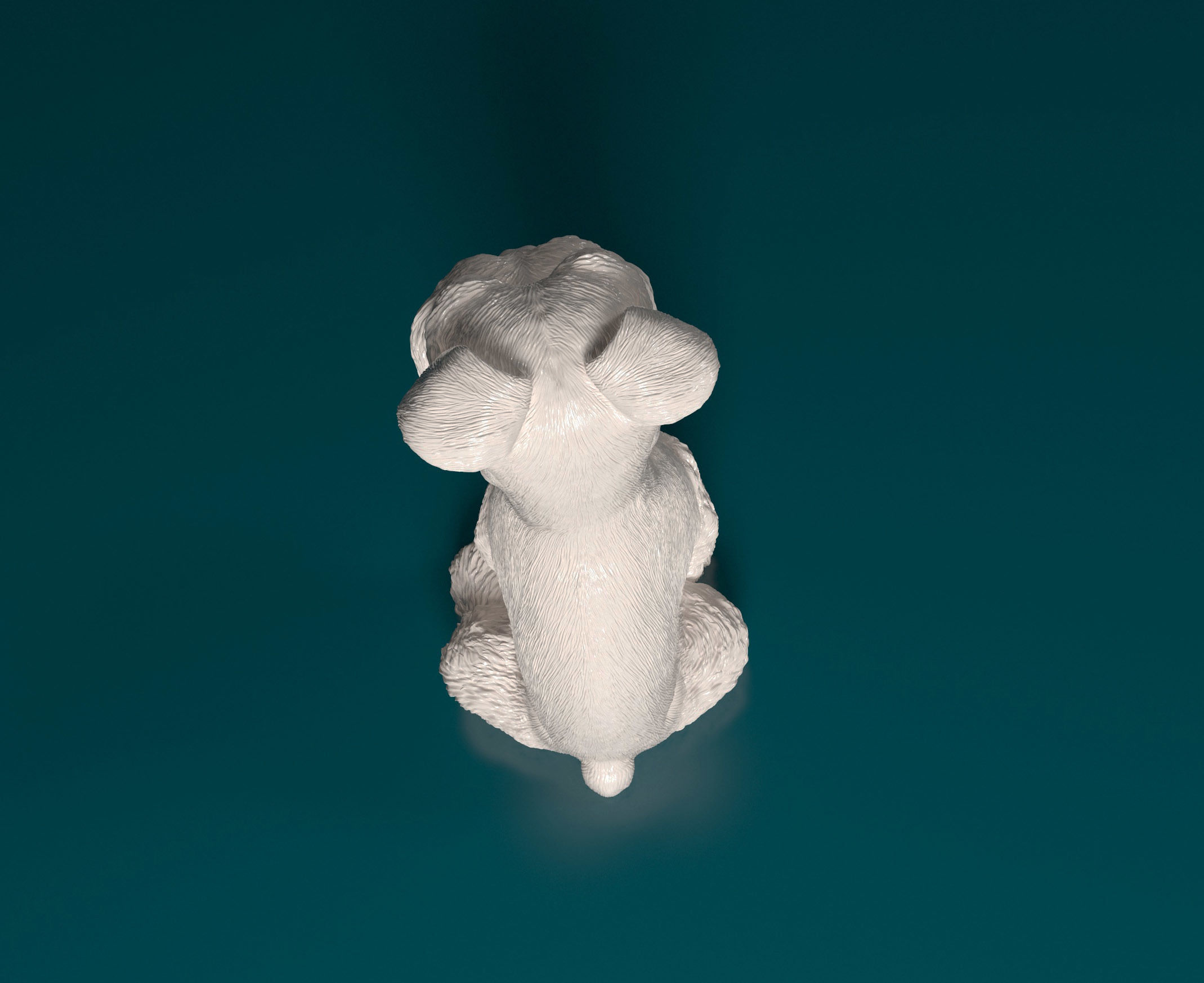 Zwergschnauzer dog 3D print model_5