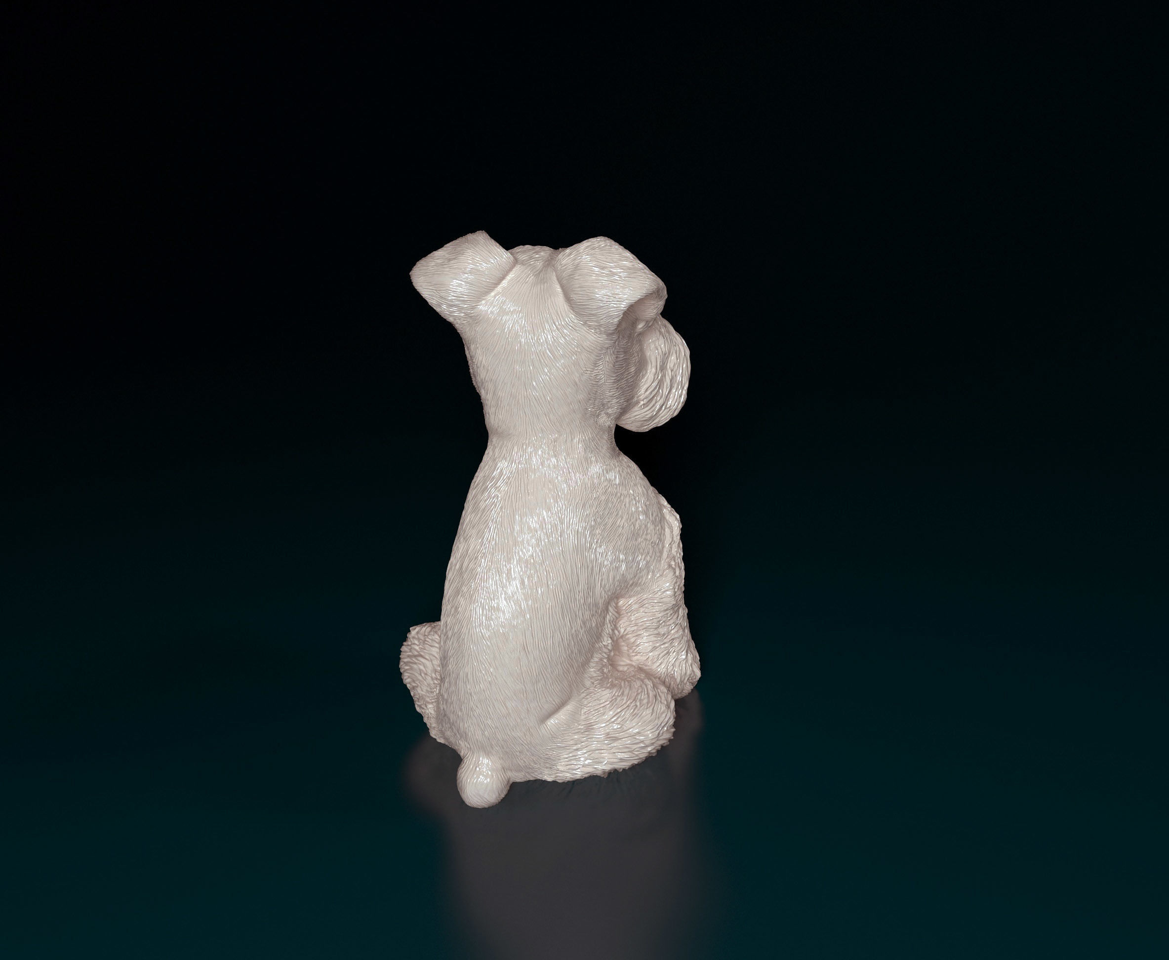 Zwergschnauzer dog 3D print model_4