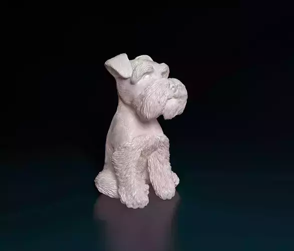 Zwergschnauzer dog 3D print model