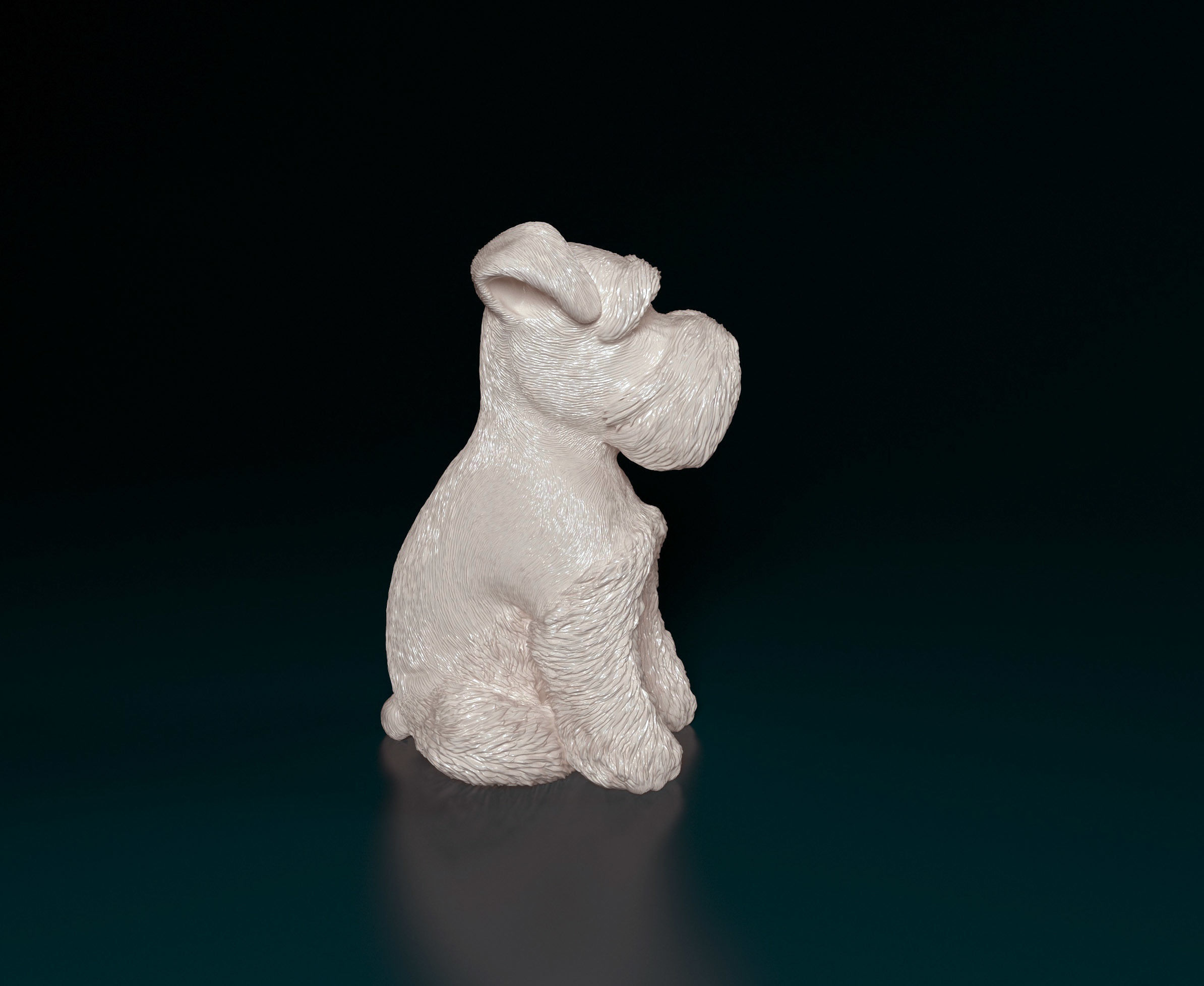Zwergschnauzer dog 3D print model_3