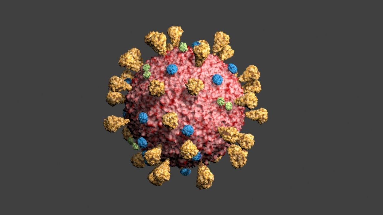 Covid-19 coronavirus 3D model_2