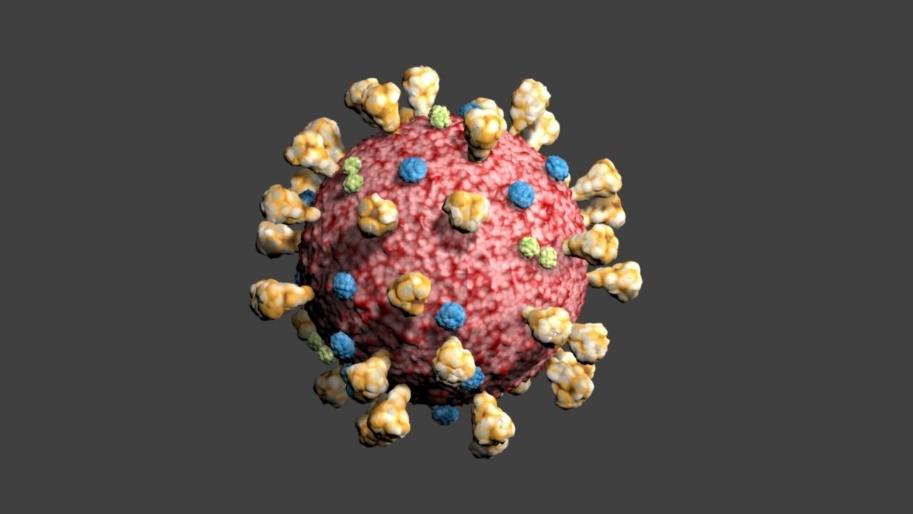 Covid-19 coronavirus 3D model_1