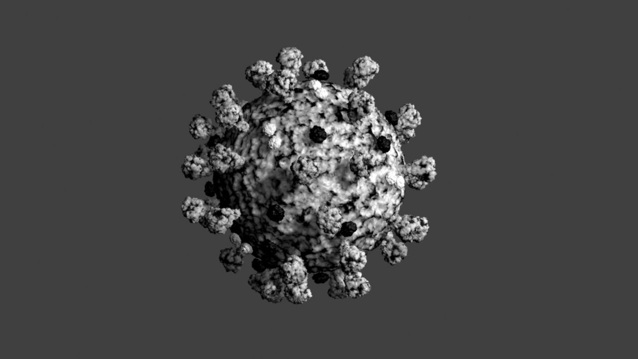Covid-19 coronavirus 3D model_5