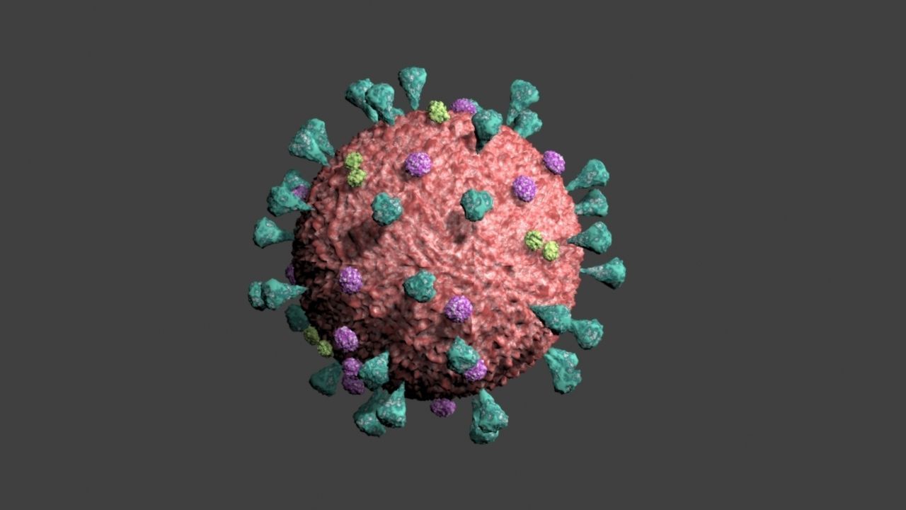 Covid-19 coronavirus 3D model_3