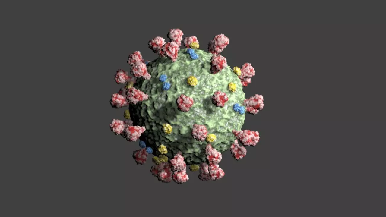 Covid-19 coronavirus 3D model_0