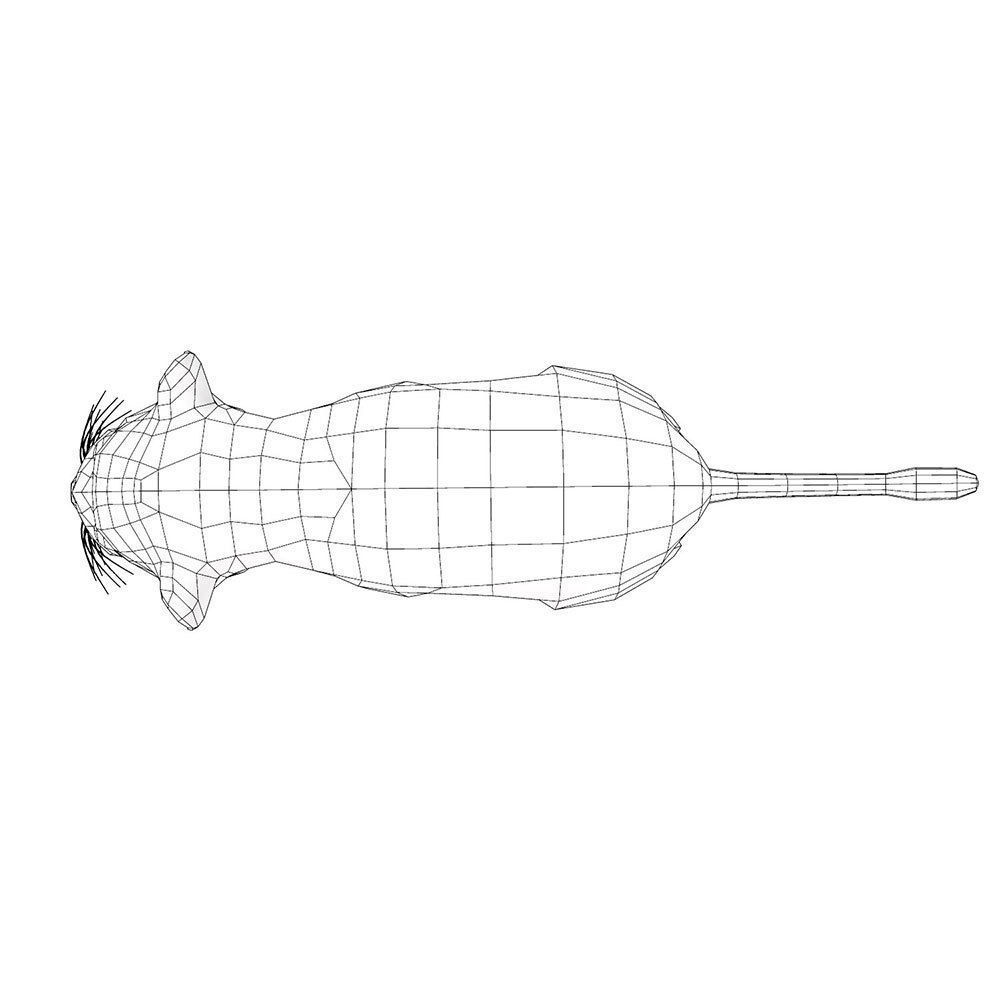 Jaguar rigged toon 3d model  Low-poly 3D model_6