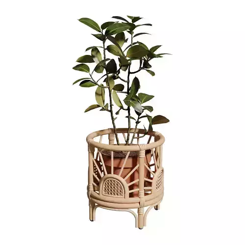 Faiths Sunrise Planter