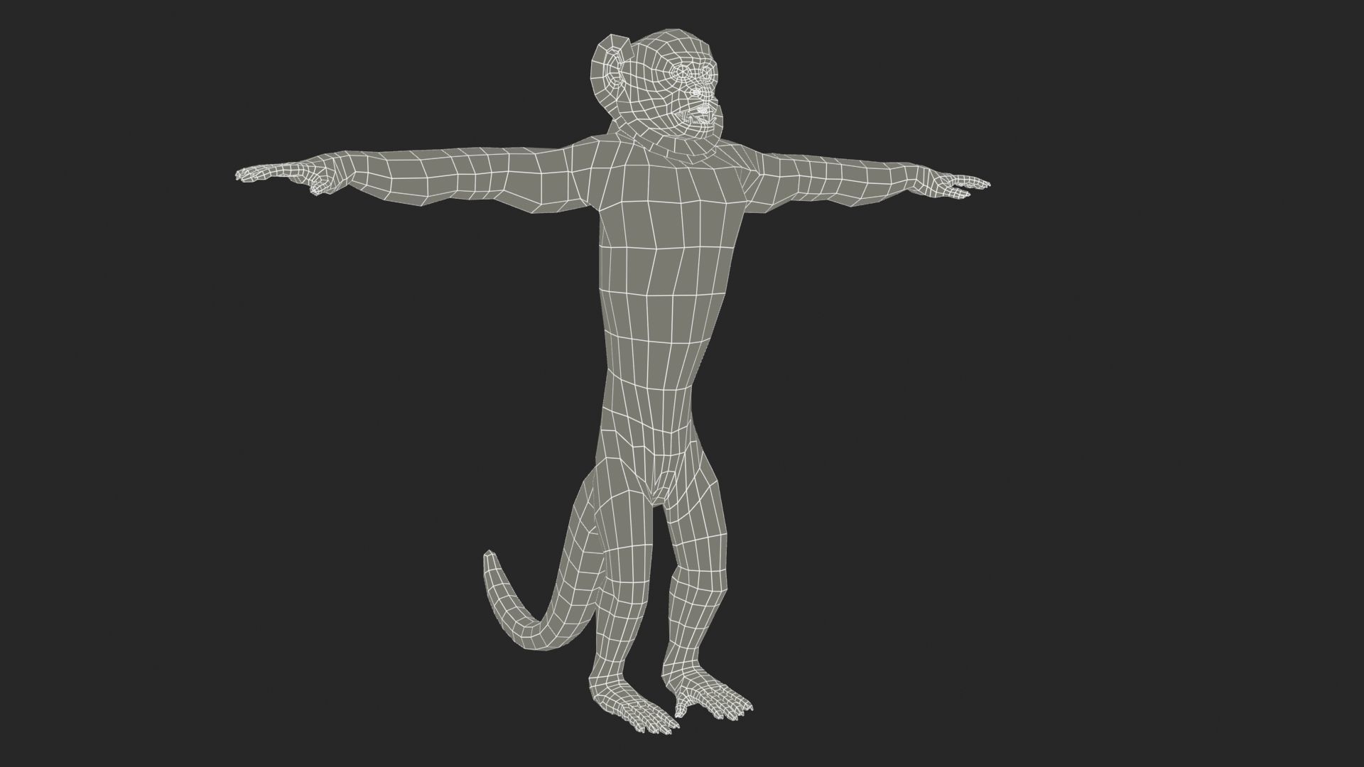 Capuchin Monkey Low-poly 3D model_11