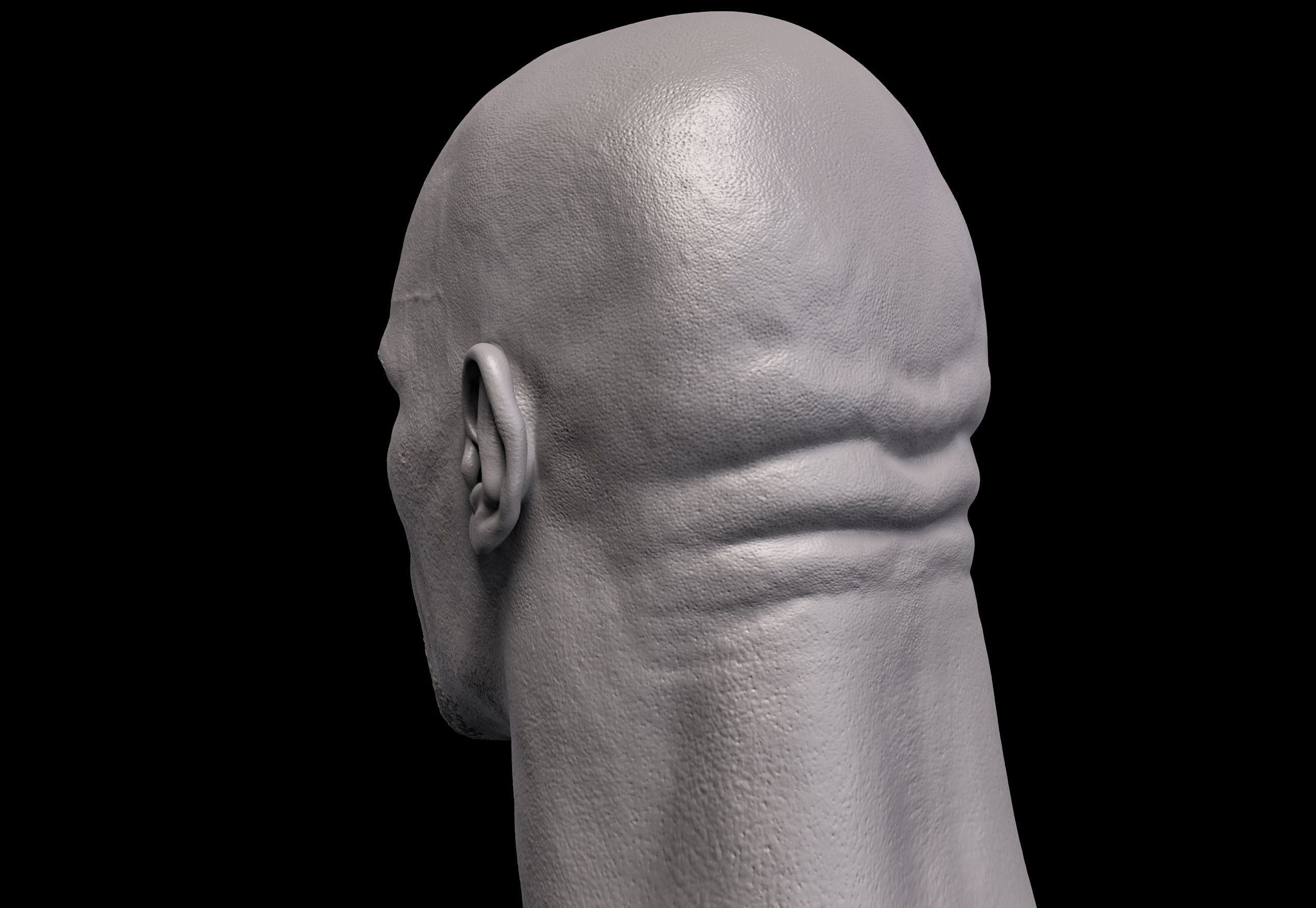 The Rock Head- Dwayne Johnson 3D print model_4
