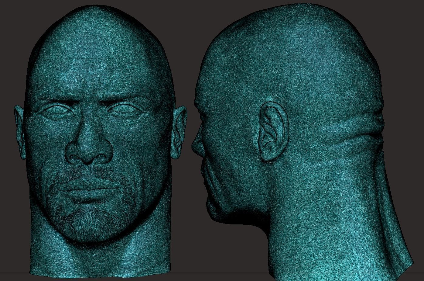 The Rock Head- Dwayne Johnson 3D print model_11