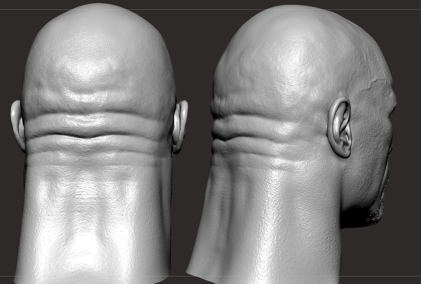 The Rock Head- Dwayne Johnson 3D print model_7