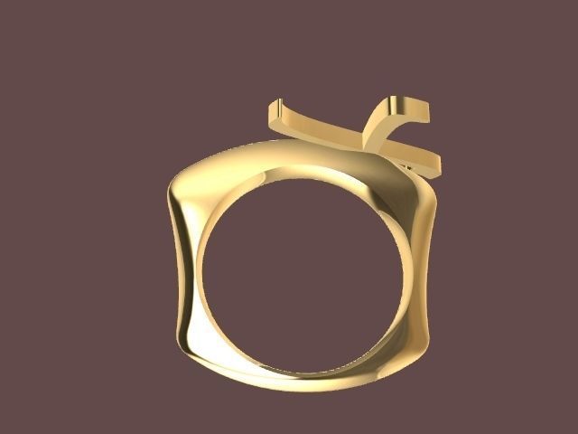 x ring stl verified 3D print model_2