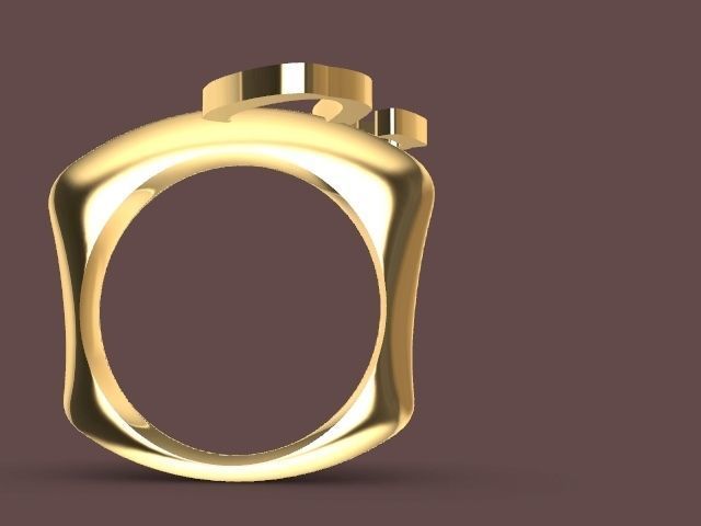 s ring stl verified 3D print model_4