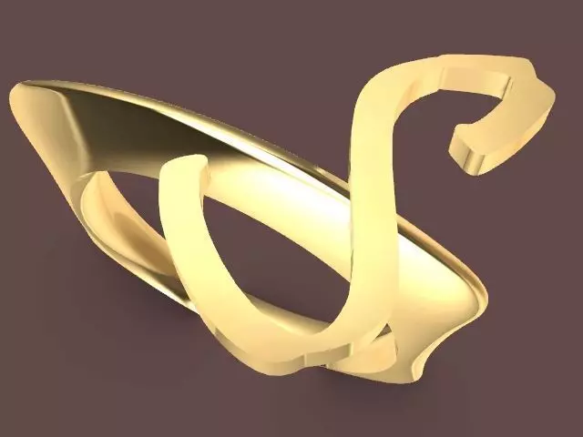 s ring stl verified 3D print model_0