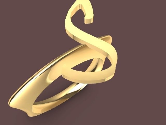 s ring stl verified 3D print model_1