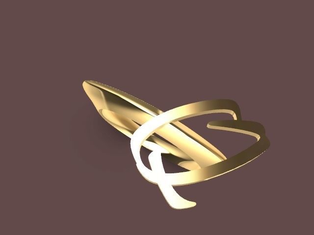 q ring stl verified 3D print model_1