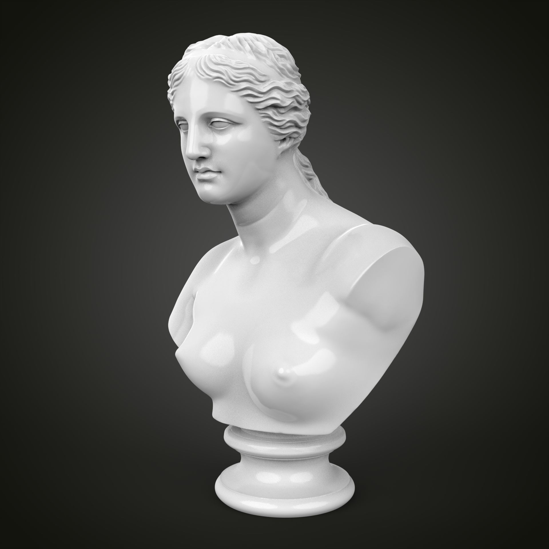 Venus de Milo bust 3D print model_12