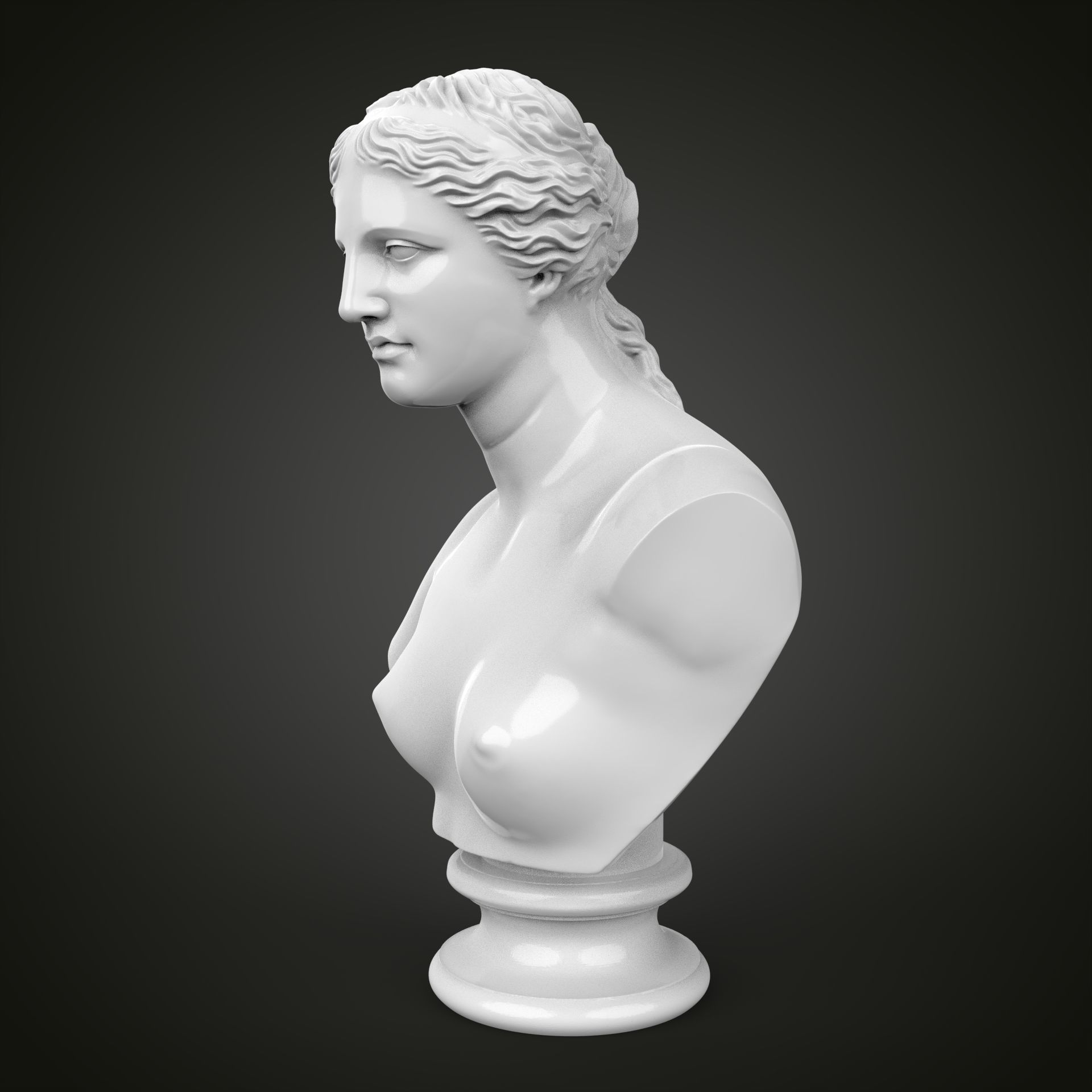 Venus de Milo bust 3D print model_11