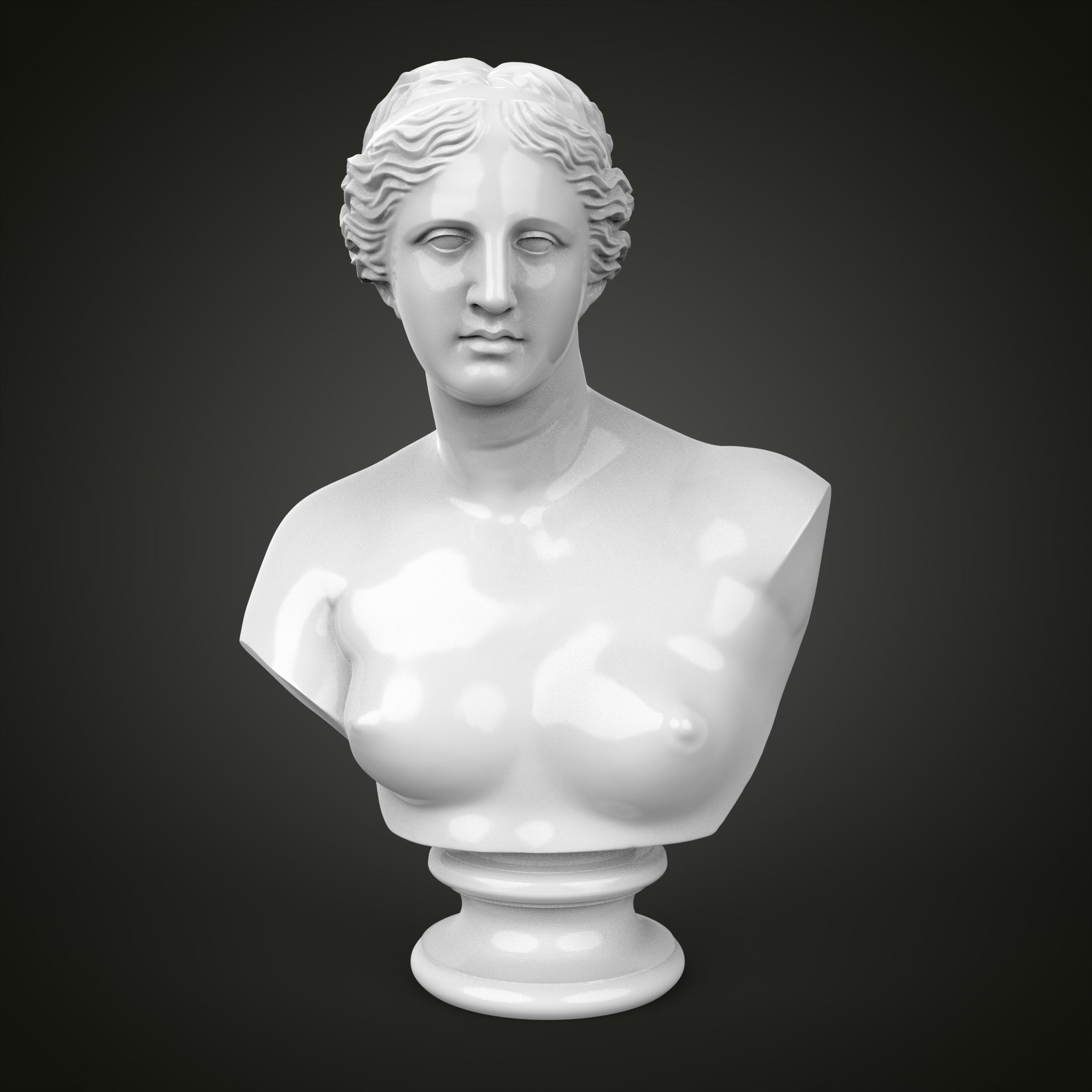 Venus de Milo bust 3D print model_10