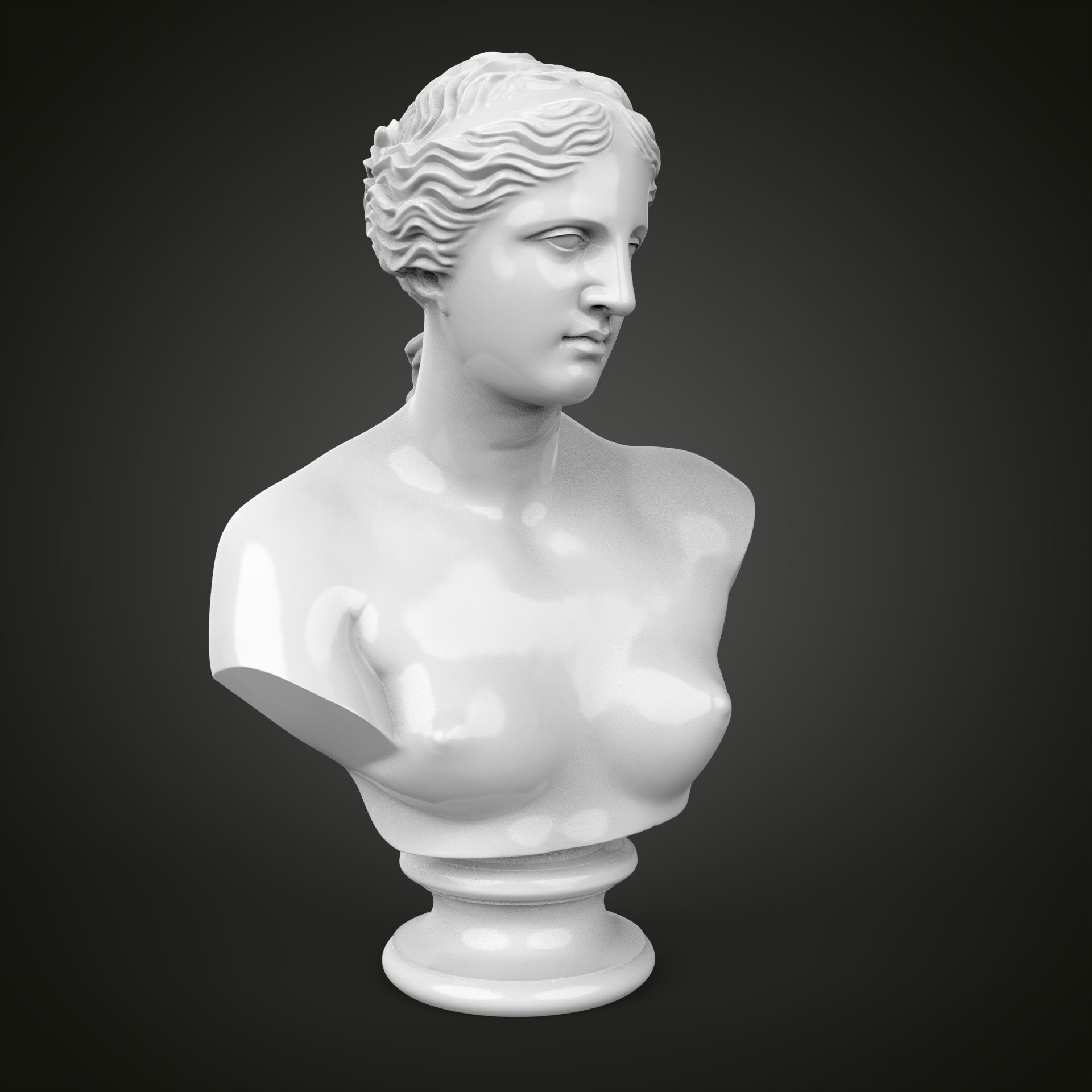 Venus de Milo bust 3D print model_8