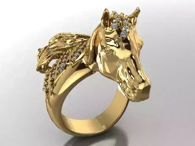 Horse ring-orginal desgin