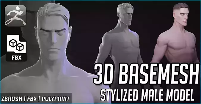 Basemesh Stylized Male