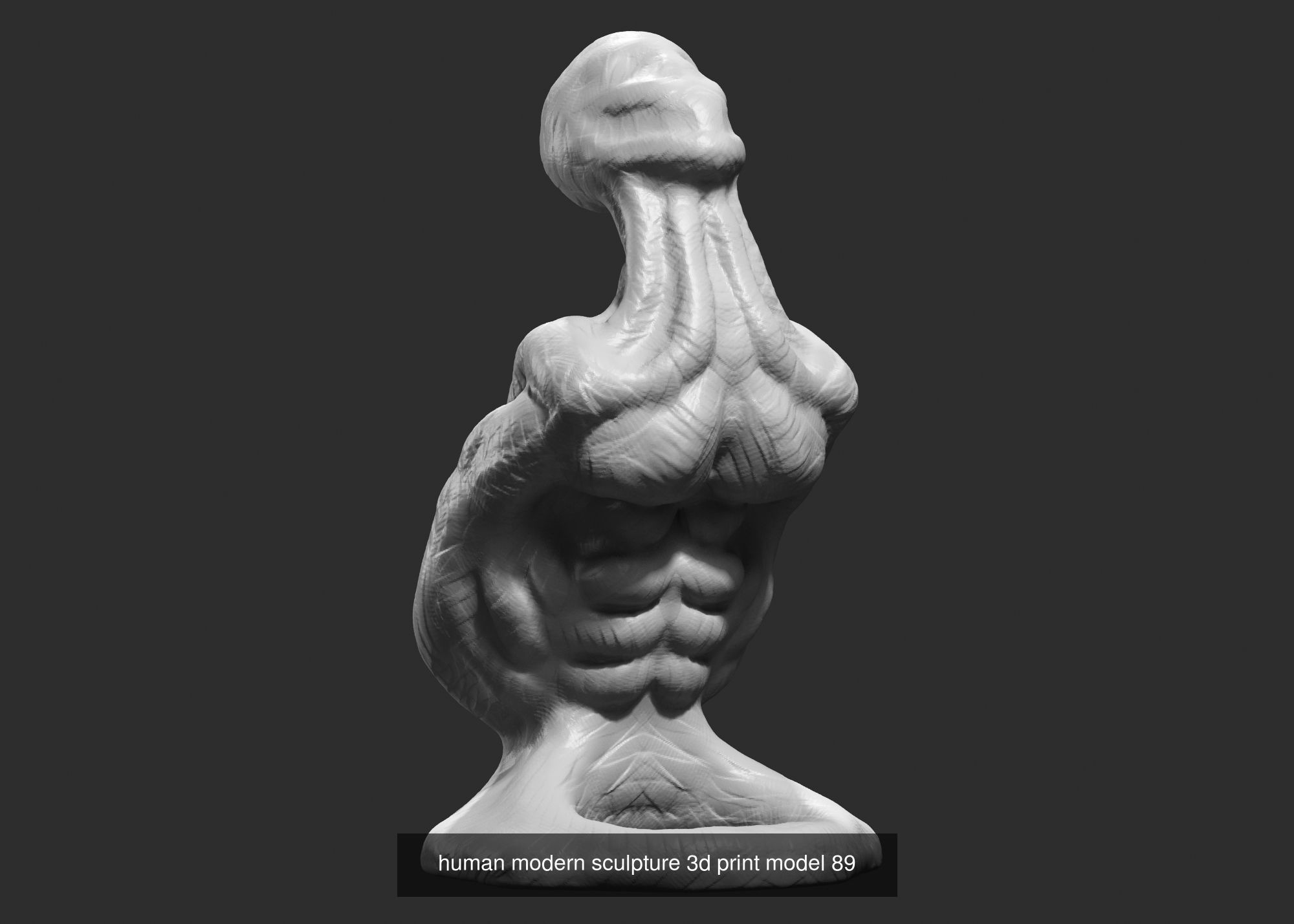 139 Modern Abstract Decorative sculpture 3d print 3D Model Collection_121