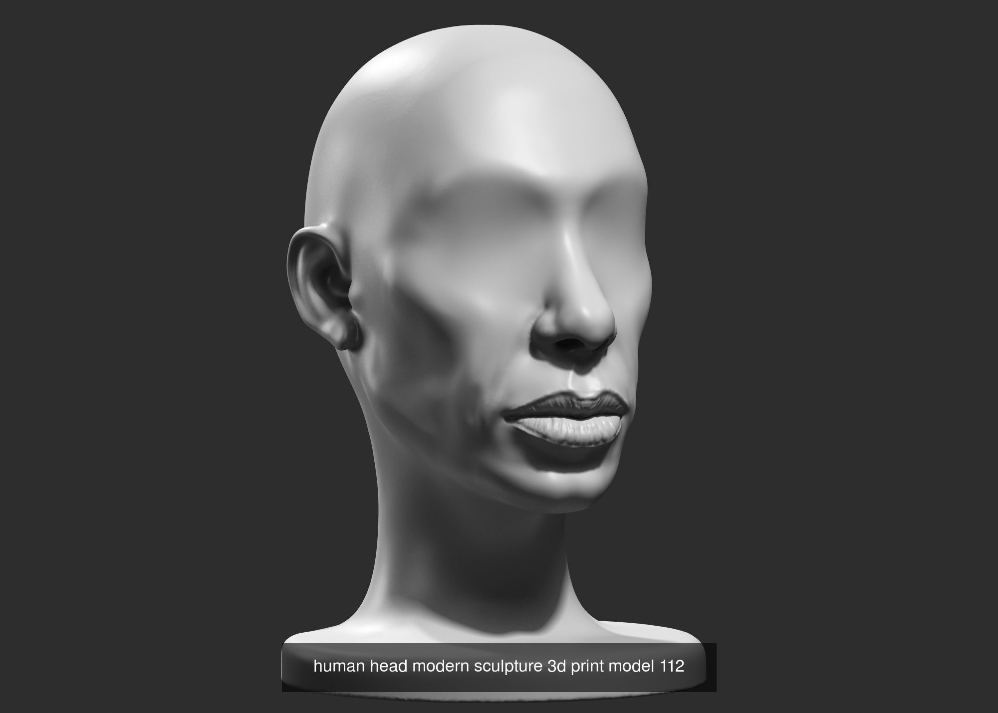 139 Modern Abstract Decorative sculpture 3d print 3D Model Collection_145