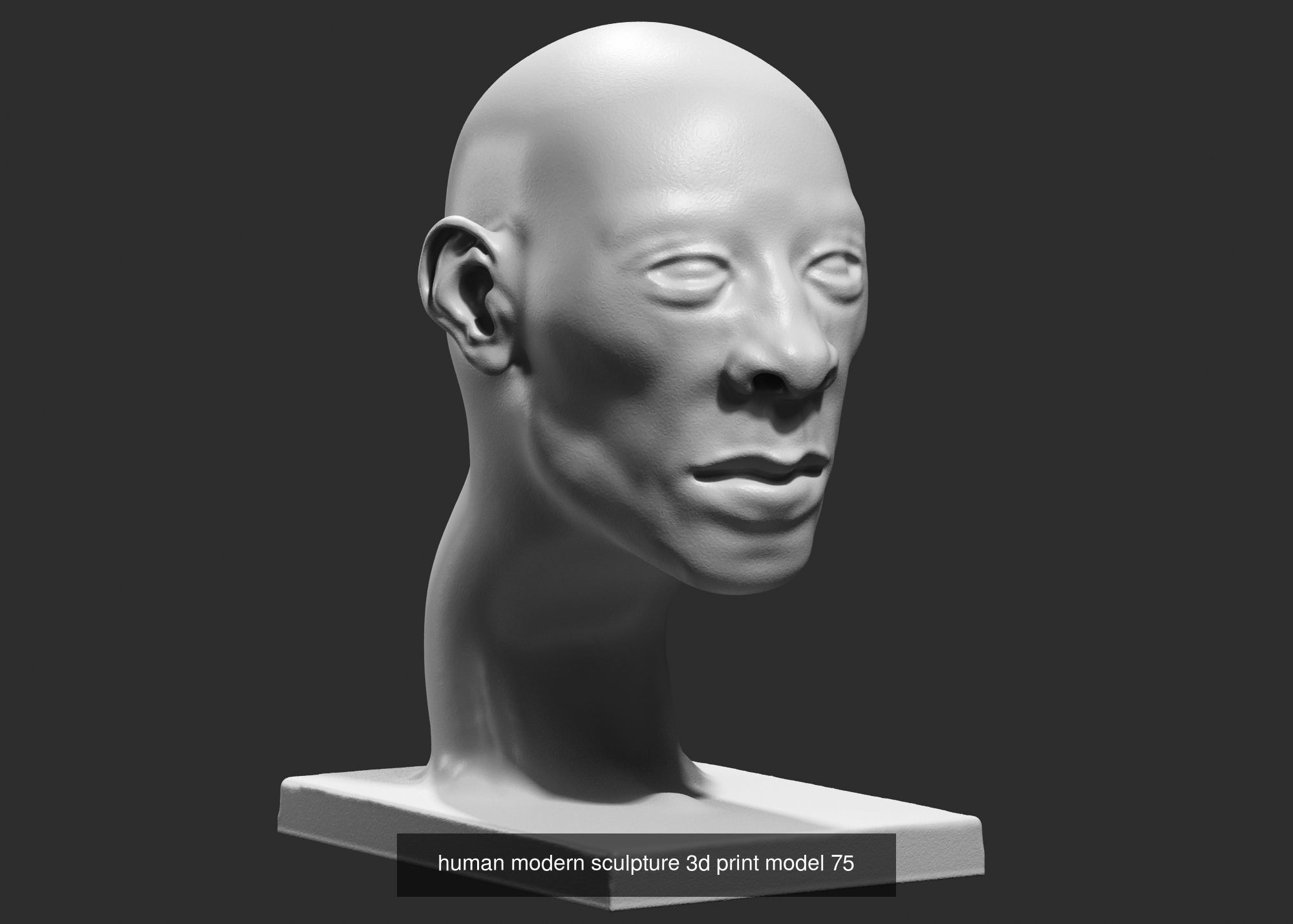 139 Modern Abstract Decorative sculpture 3d print 3D Model Collection_111