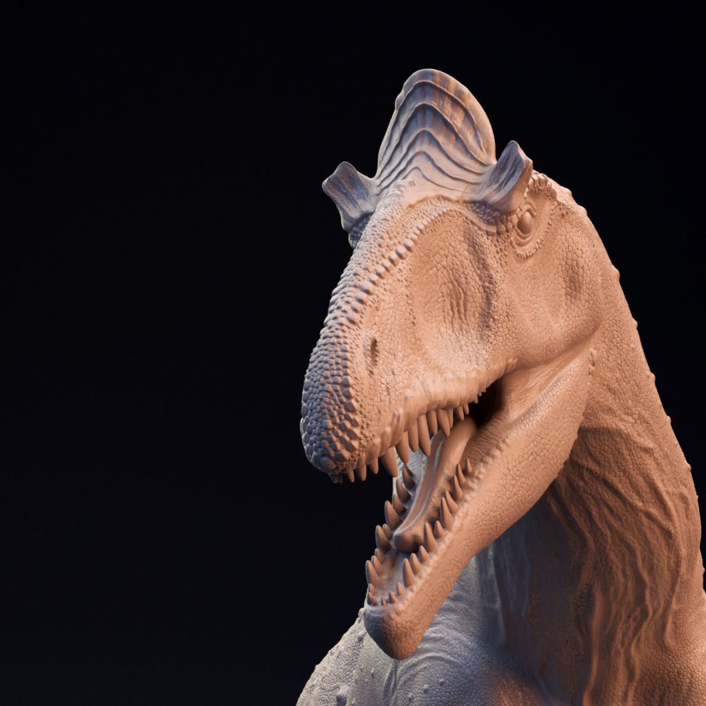 Cryolophosaurus Ellioti  3D print model_10